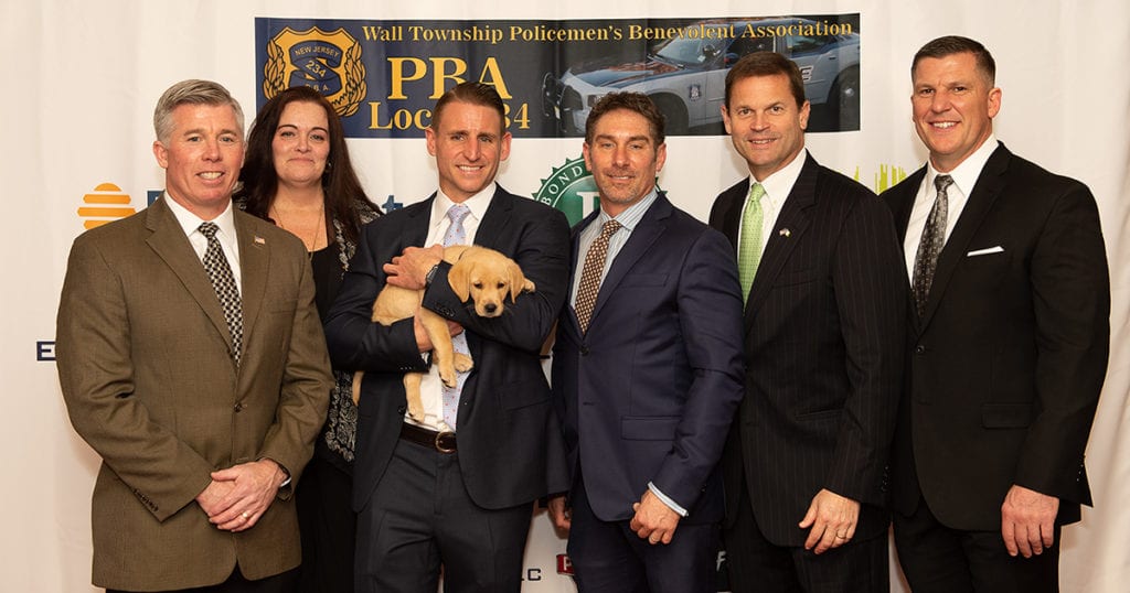 paws4vets